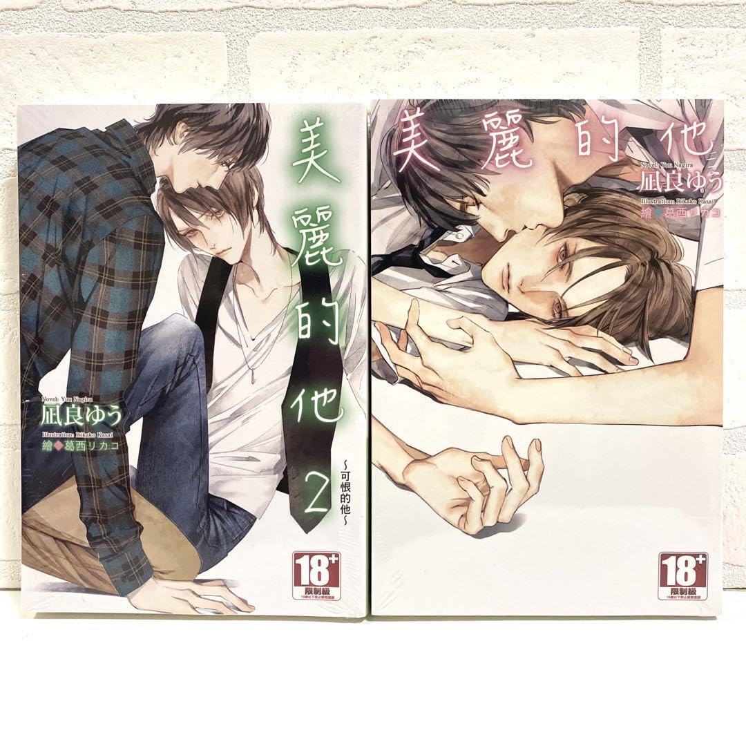 Amazon.co.jp: 美しい彼 憎しい彼 小説 中文版 凪良ゆう